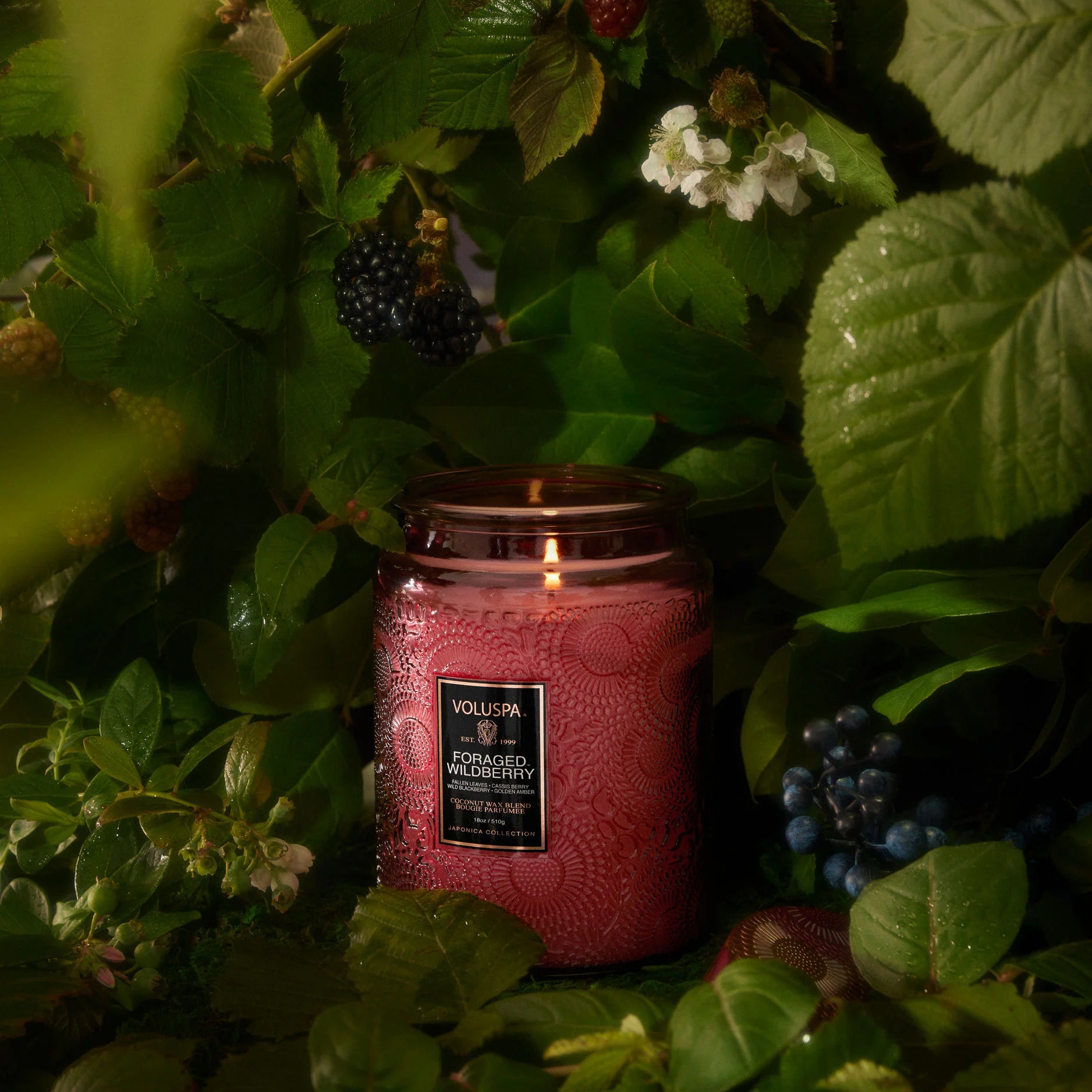 Voluspa Large Glass Jar Candle 18 oz Foraged Wildberry