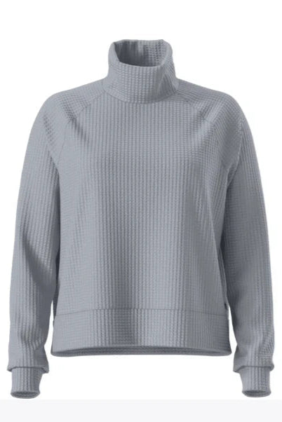 TNF W's Chabot Long Sleeve Mock Neck