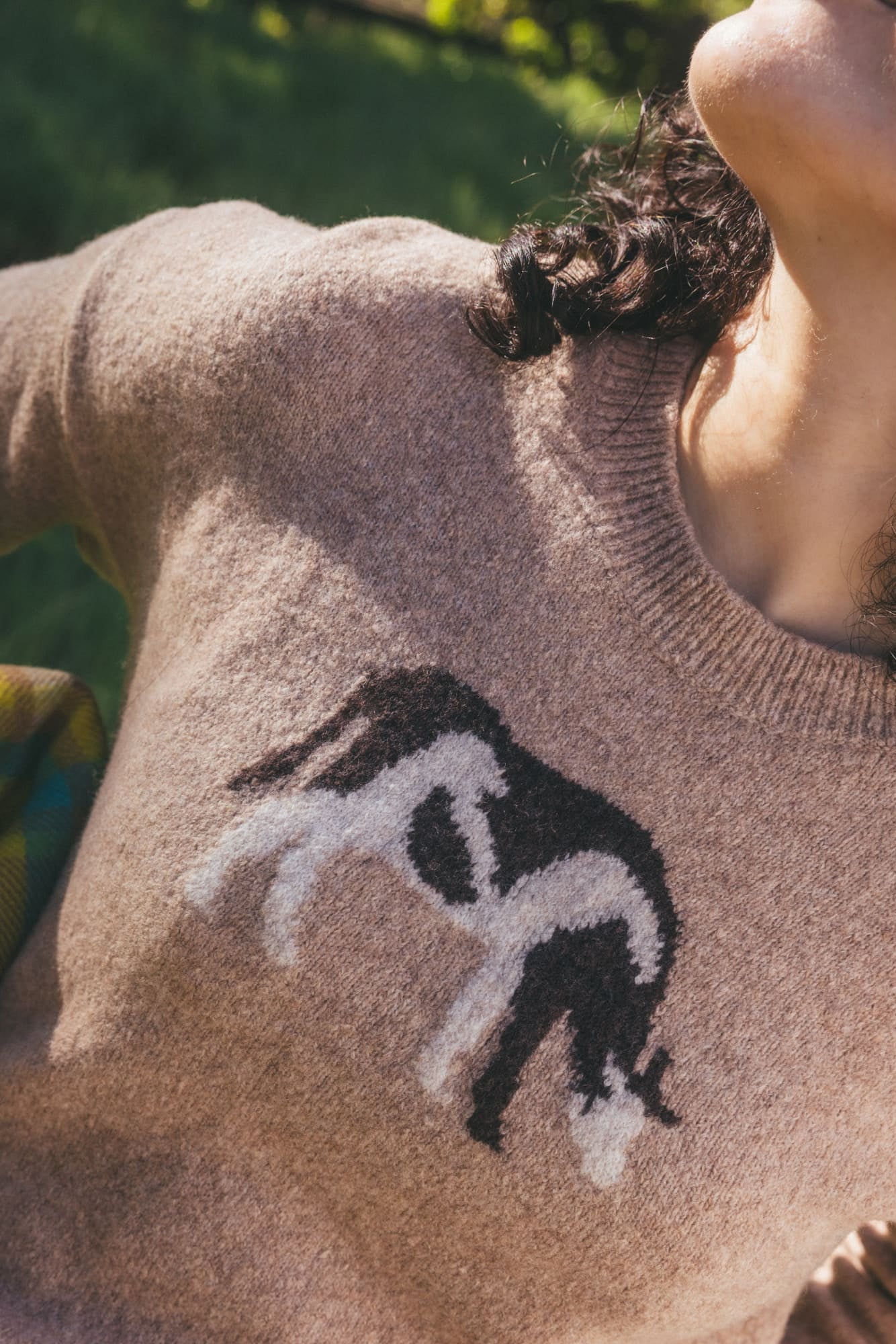 Wasatch W's Crew Sweater- Cattail Jacquard Pattern