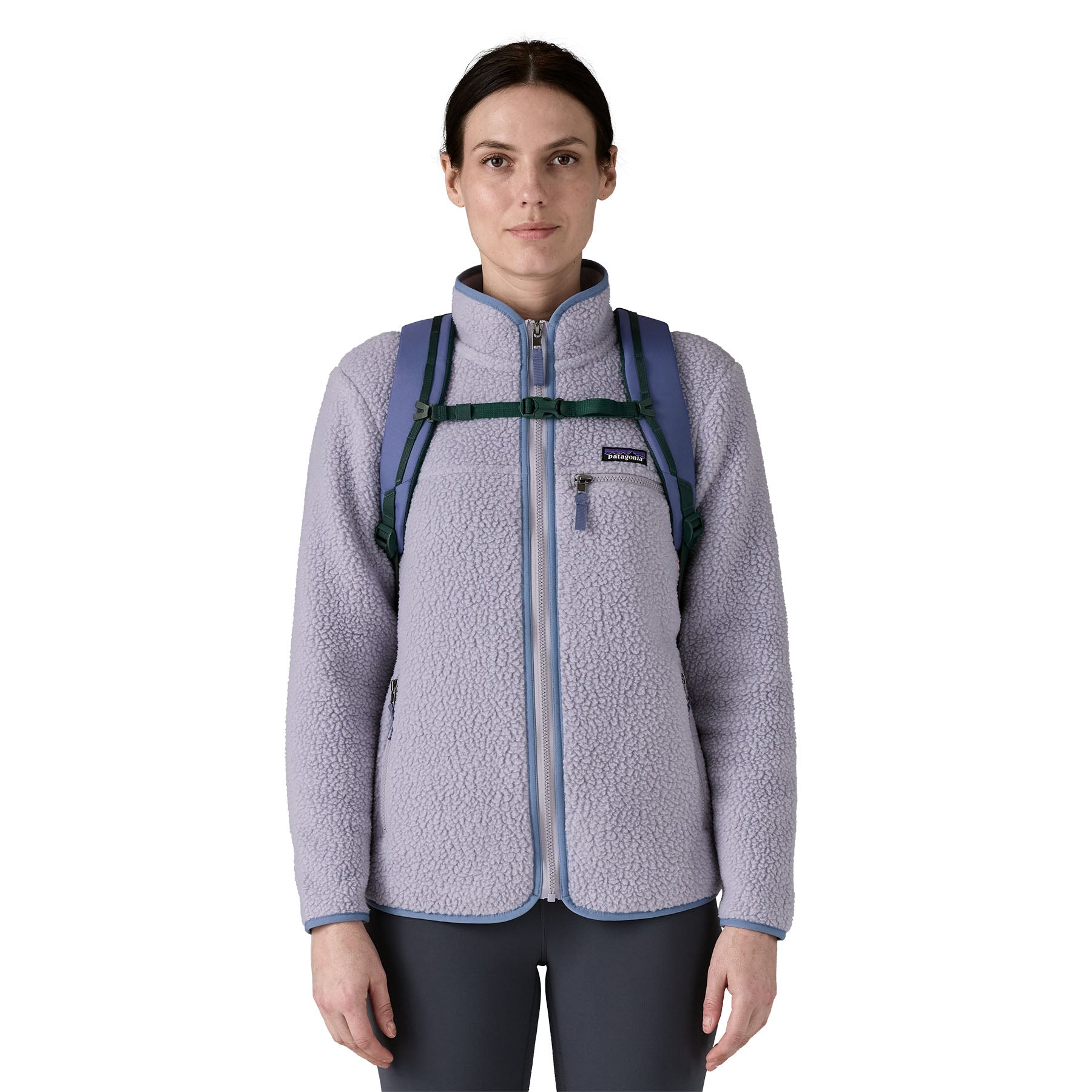 Patagonia Refugio Day Pack 30L
