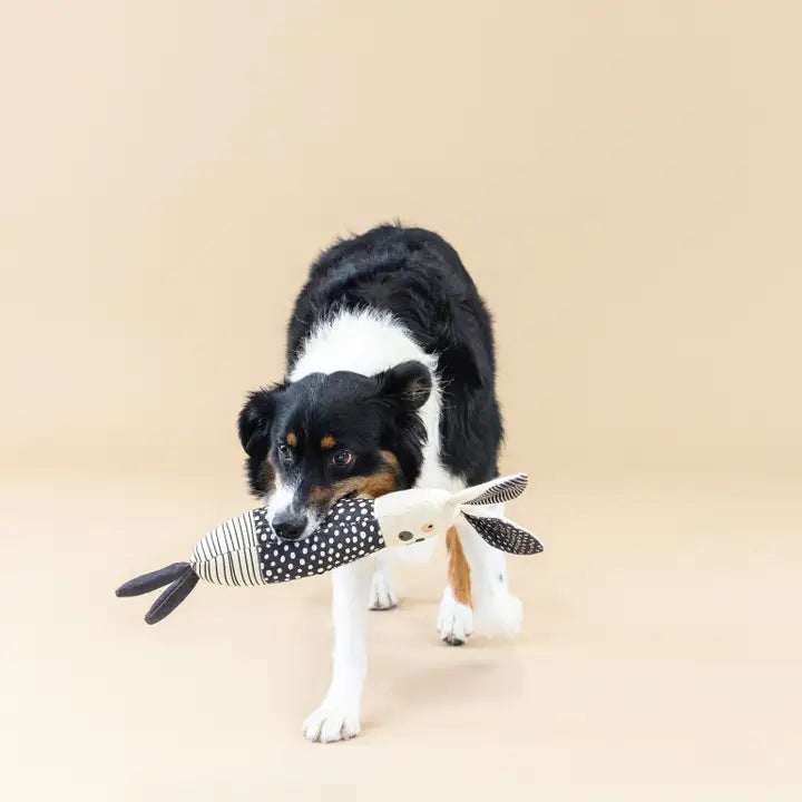 Earth Friendly Canvas Dog Toy