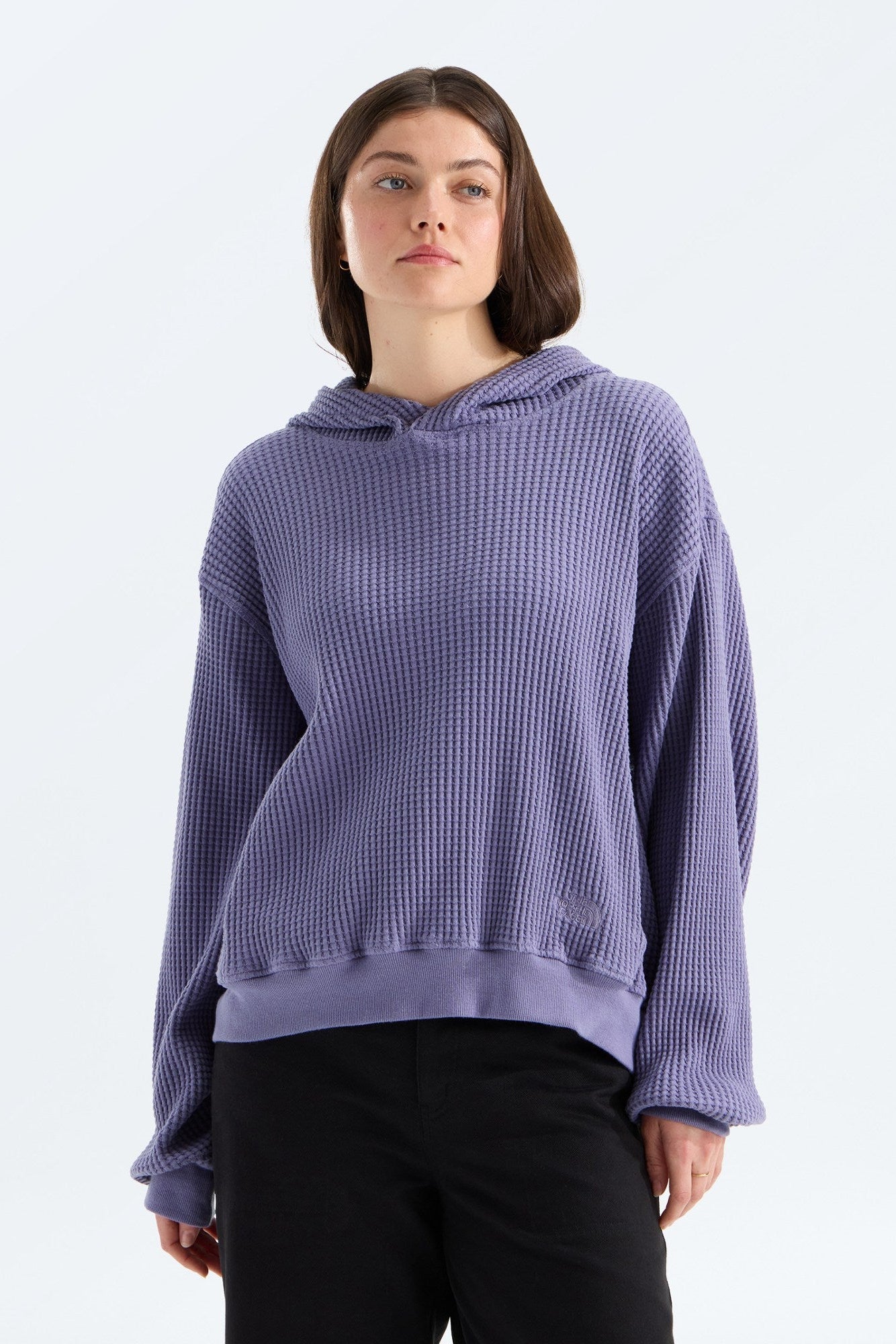 TNF W's Chabot 2.0 Thermal Hoodie