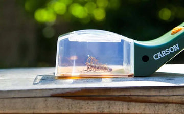 Carson Bugview One Hand 5X Bug Catcher