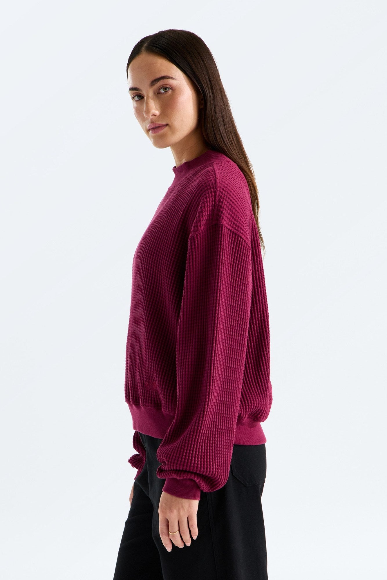 TNF W's Chabot 2.0 Long Sleeve Mock Neck