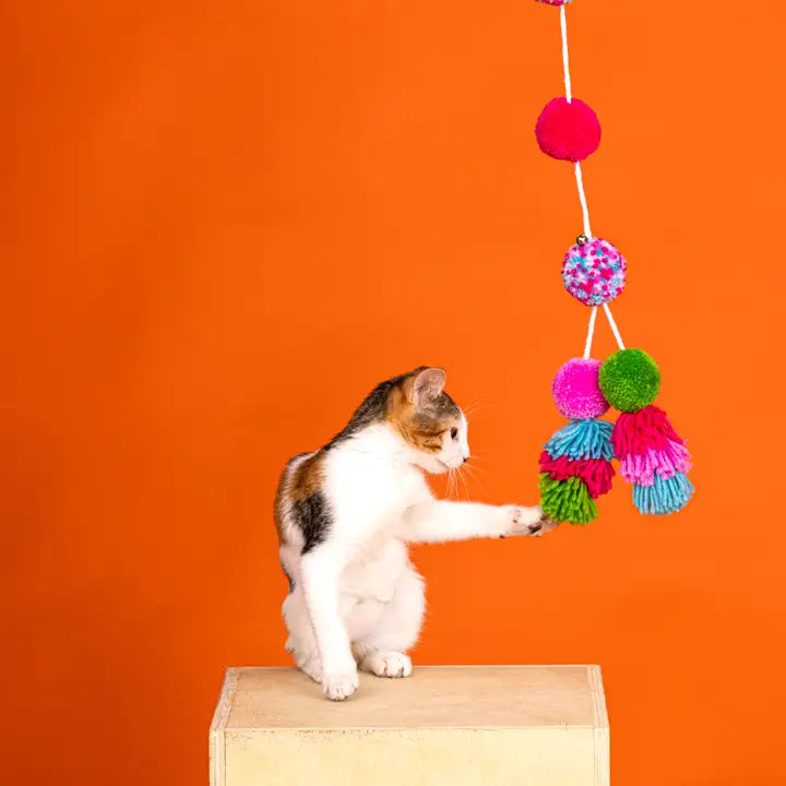 Shake you Pom Pom Teaser Cat Toy