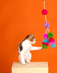 Shake you Pom Pom Teaser Cat Toy