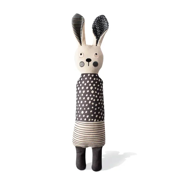 Earth Friendly Canvas Dog Toy