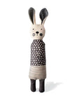 Earth Friendly Canvas Dog Toy