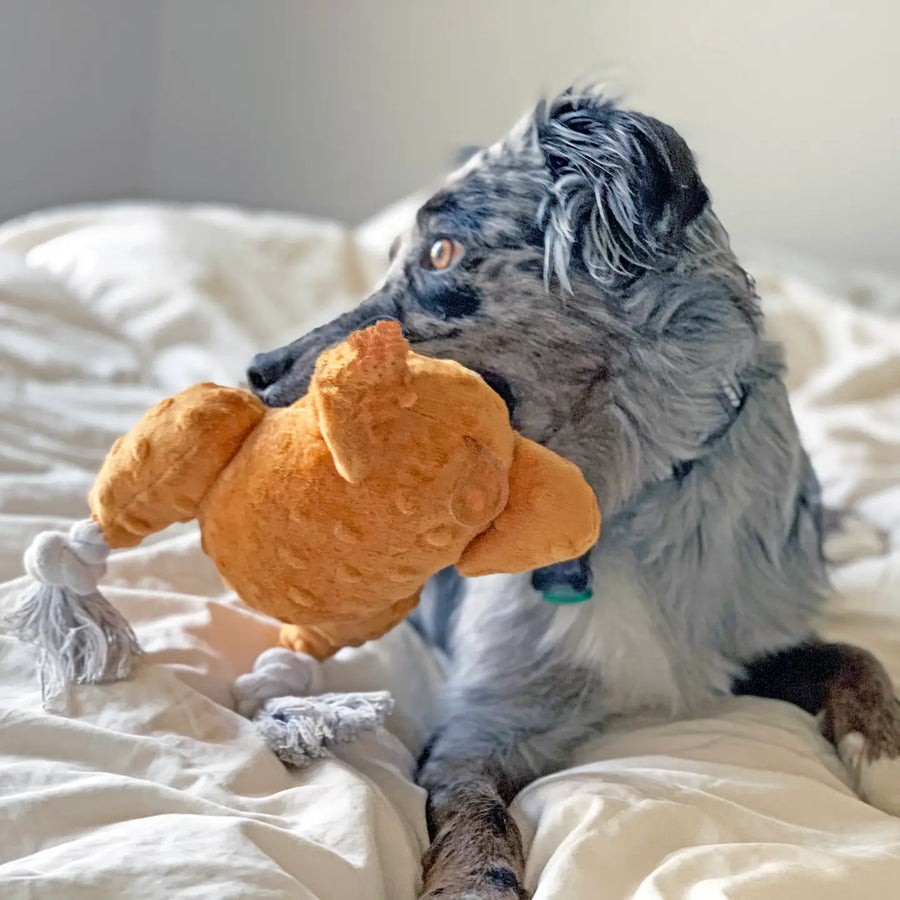 Turkey Plush Dog Toy