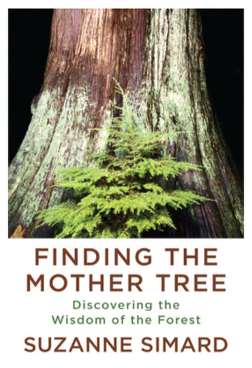 Finding The Mother Tree-Paperback