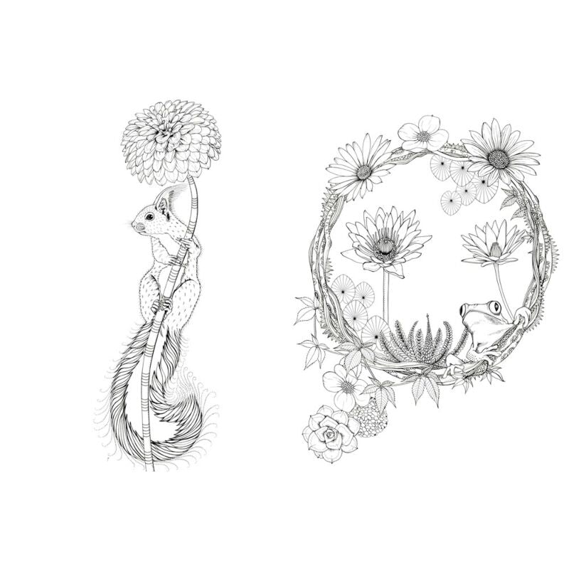 Into the Wild: An Exotic Woodland Coloring Book