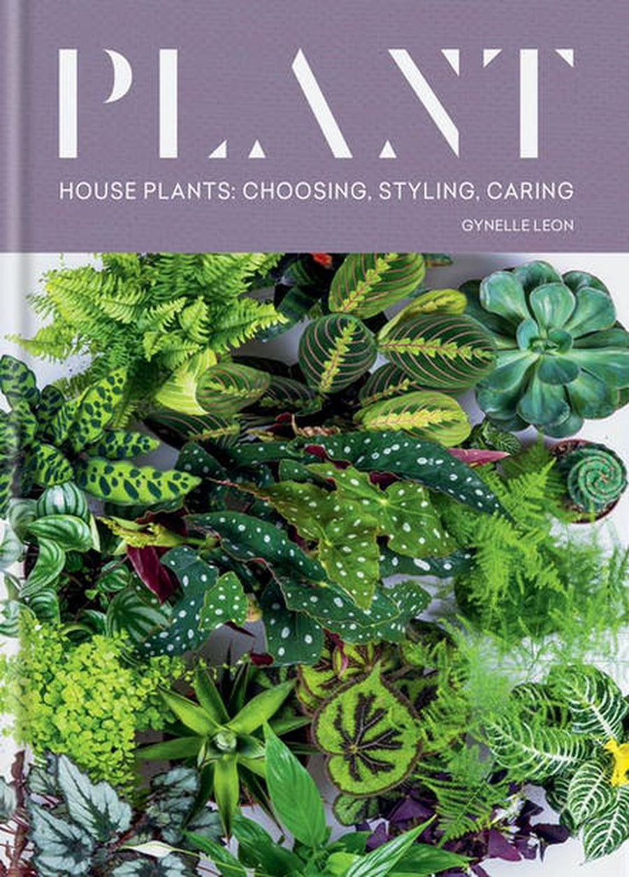 Plant: House Plants: Choosing, Styling, Caring (Hardcover)