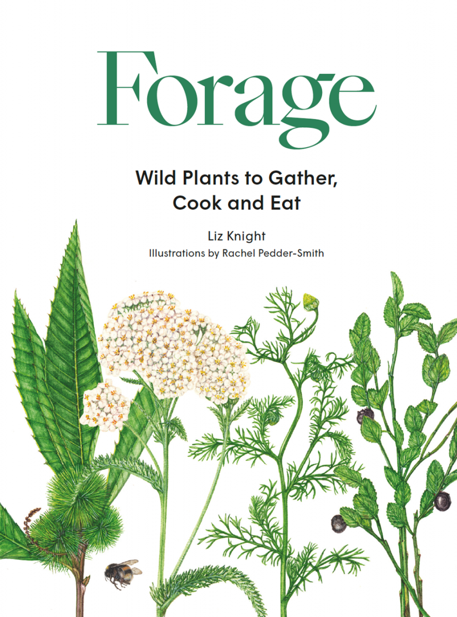 Forage - Wild Plants to Gather, Cook and Eat