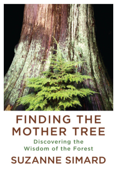 Finding The Mother Tree