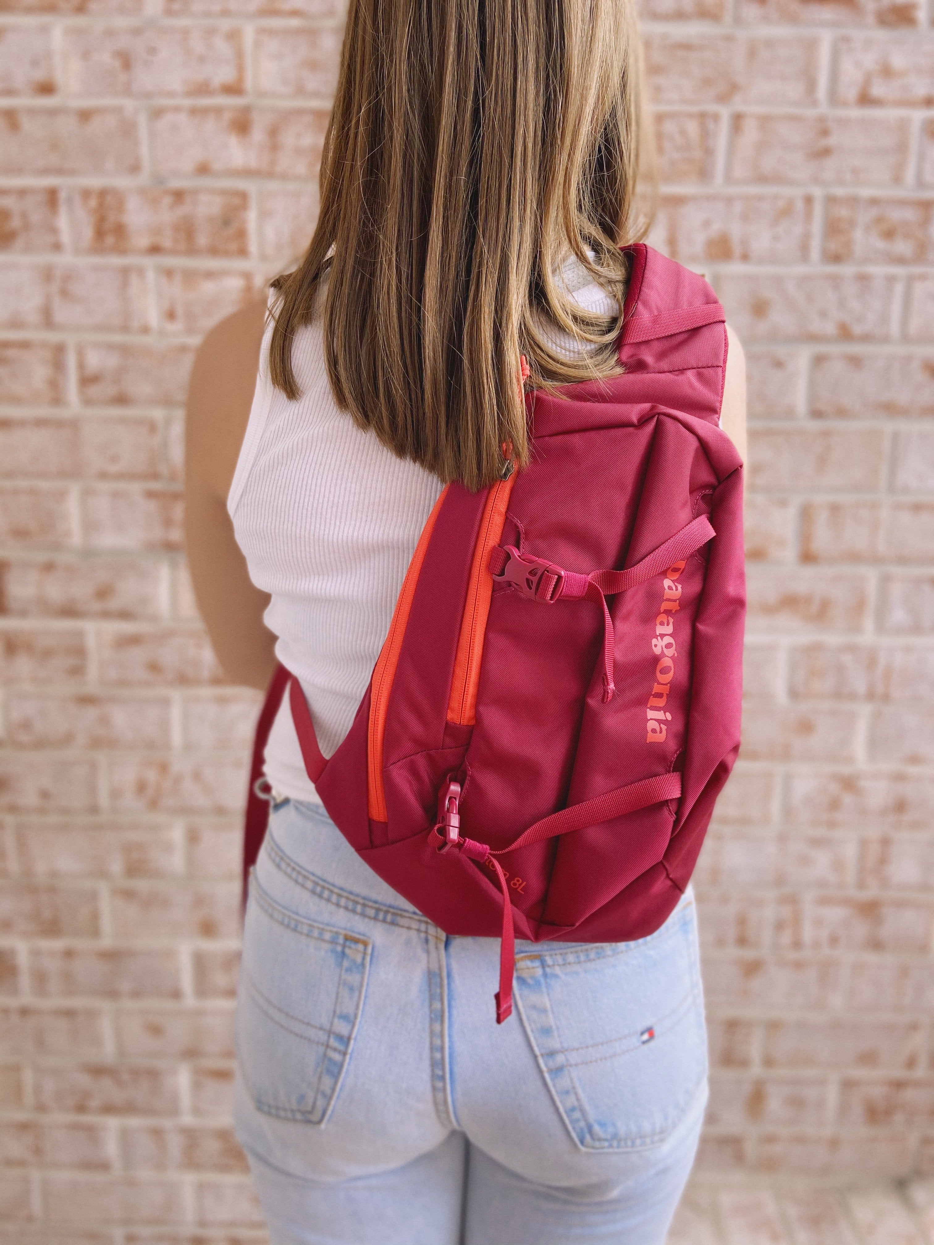 Patagonia Atom Sling 8L